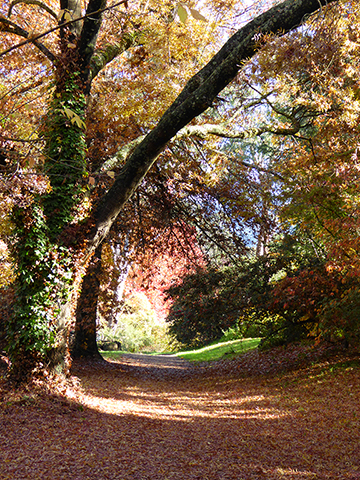 Along The PathPhotography by Sharon Alston